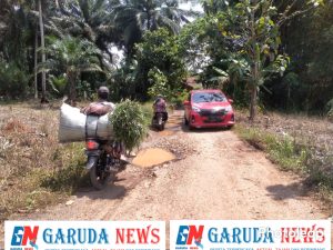 Tak Dapat Perhatian Pemerintah, Warga pekon kamilin Keluhkan Jalan Rusak Parah